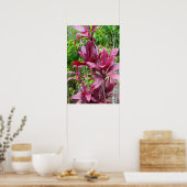 Hawaiian Ti Plant Poster (Keuken)