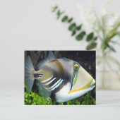 Hawaiian Tropical Fish Briefkaart (Staand voorkant)