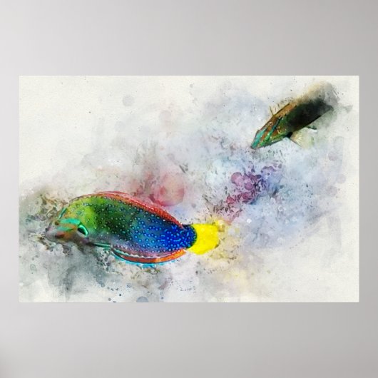 Hawaiian Tropical Fish Waterverf - Wrasse Poster (Voorkant)