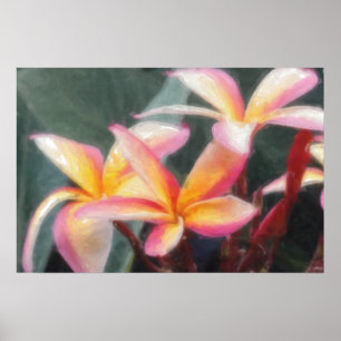 Hawaiian Tropical Plumeria Poster