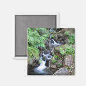 Hawaiian Tropical Stream Magneet (Voorkant / Achterkant)