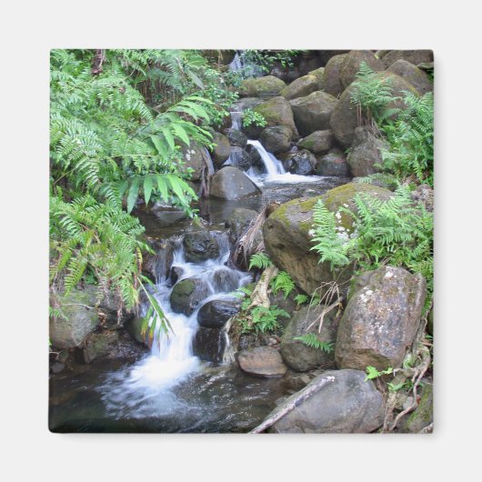 Hawaiian Tropical Stream Magneet (Voorkant)