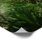 Hawaiian Waterfall1 Poster (Hoek)