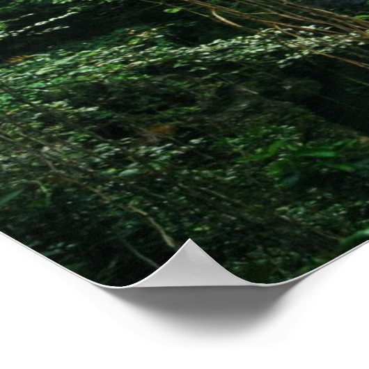 Hawaiian Waterfall Poster (Hoek)