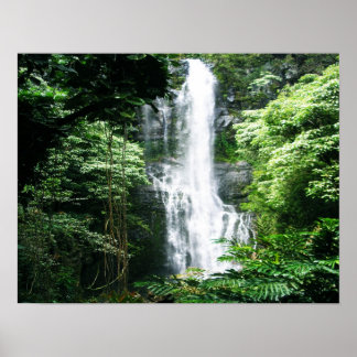 Hawaiian Waterfall Poster