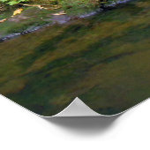 Hawaiian Waterfall Poster (Hoek)