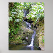 Hawaiian Waterfall Poster (Voorkant)