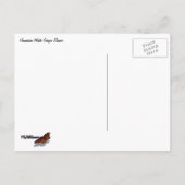 Hawaiian White Ginger Flower Briefkaart (Achterkant)