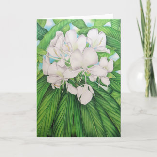 Hawaiian White Ginger Kaart