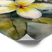 Hawaiian Yellow Plumeria Poster (Hoek)