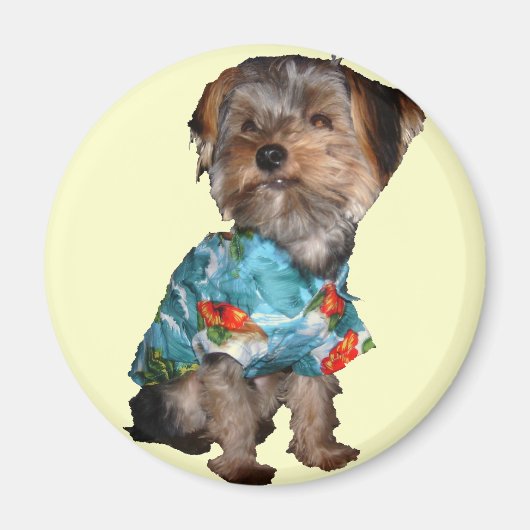 Hawaiian Yorkie Magneet (Voorkant)