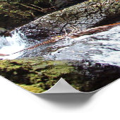 Hawaiin Waterfall Poster (Hoek)