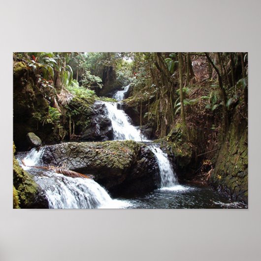 Hawaiin Waterfall Poster (Voorkant)