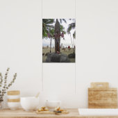 HAWAII'S DUKE KAHANAMOKU POSTER (Keuken)