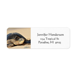 Hawaiitisch Zee Turtle Adresetiketten Etiket