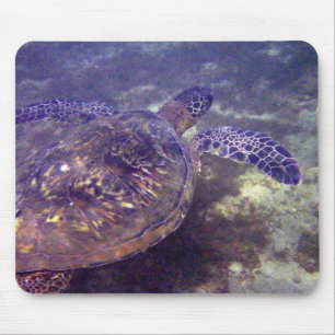 Hawaiitische zeeen schildpadden muismat