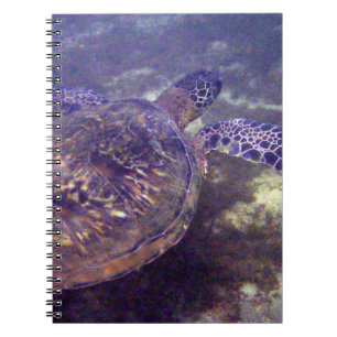 Hawaiitische zeeen schildpadden notitieboek
