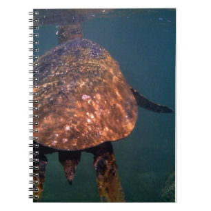 Hawaiitische zeeen schildpadden notitieboek