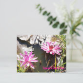 Hawaï's roze Lillies Briefkaart (Staand voorkant)