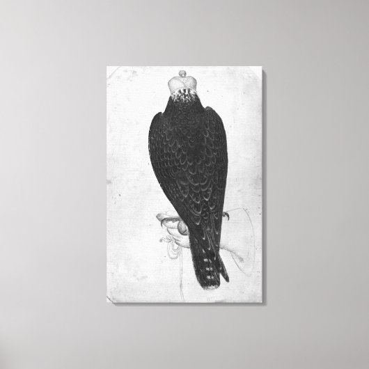 Hawk aan de hand canvas afdruk (Voorkant)
