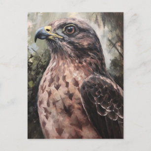 Hawk Briefkaart