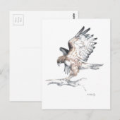 Hawk Briefkaart (Voorkant / Achterkant)