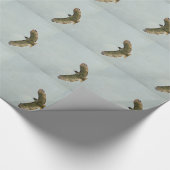 Hawk Cadeaupapier (Hoek)