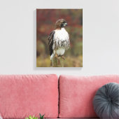 Hawk Canvas Afdruk (Insitu (Woonkamer))