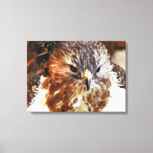 HAWK CANVAS AFDRUK