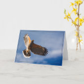 Hawk die boven de grond springt - BLANK-kaart Kaart (Gele Bloem)