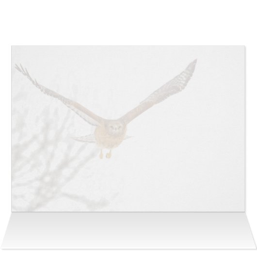 Hawk en vol (Intérieur Horizontal (Haut))