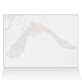 Hawk en vol (Intérieur Horizontal (Haut))