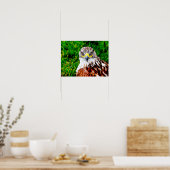 Hawk Eyes — impression d'art (Cuisine)
