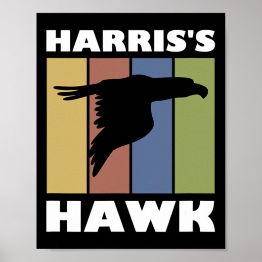 Hawk Falcon Hunter Poster (Voorkant)