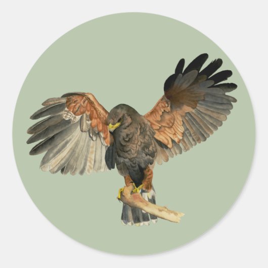 Hawk Flapping Wings Waterverf Schilderen Ronde Sticker (Voorkant)