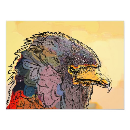 HAWK FOTO AFDRUK (Voorkant)