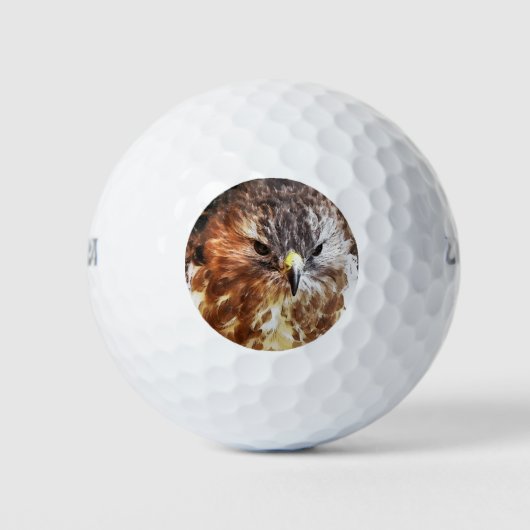 HAWK GOLFBALLEN (Voorkant)