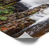 Hawk-Herfsten in het najaar 14x11" Poster (Hoek)