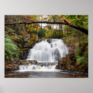 Hawk-Herfsten in het najaar 24 x 18 inch Poster