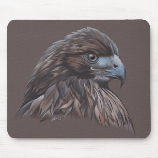 Hawk in gekleurd potlood muismat