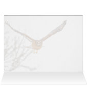 Hawk in vlucht (Binnen Horizontaal (Boven))