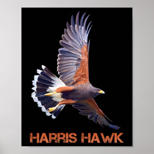 Hawk Kamala Harris voor President Poster (Voorkant)