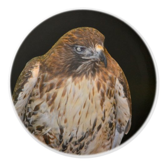 Hawk Keramische Knop (Voorkant)