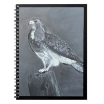 Hawk - Kies Je Moment