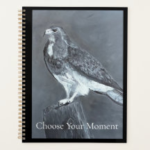 Hawk - Kies Je Moment