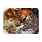 HAWK MAGNEET (Horizontaal)