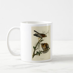Hawk met rode schouders - Amerikaanse vogels van A Koffiemok