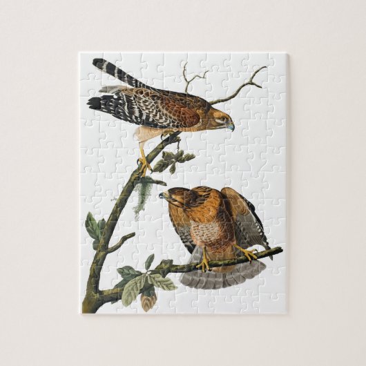 Hawk met rode schouders legpuzzel (Verticaal)