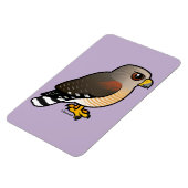 Hawk met rode schouders magneet (Linkerzijde)