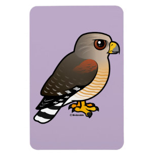 Hawk met rode schouders magneet